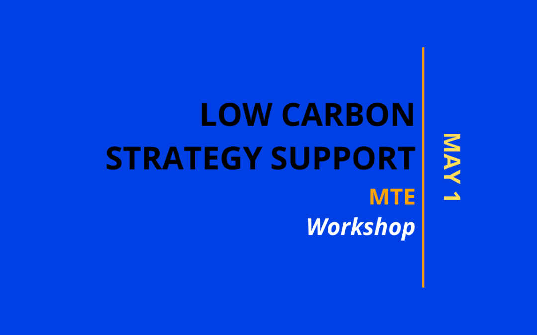 Low carbon strategy support
